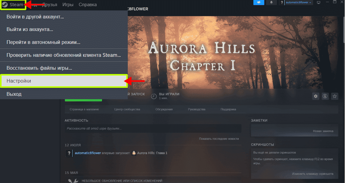 Настройки стим