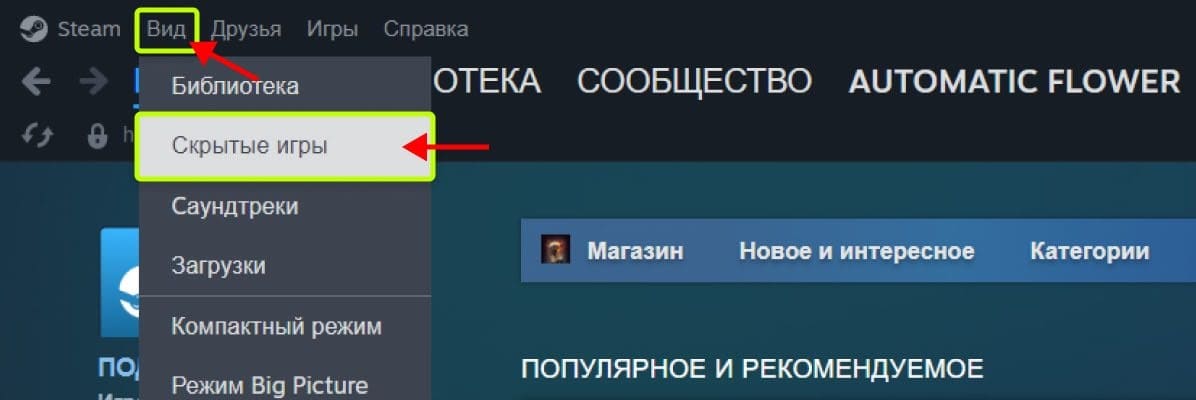 Вкладка steam