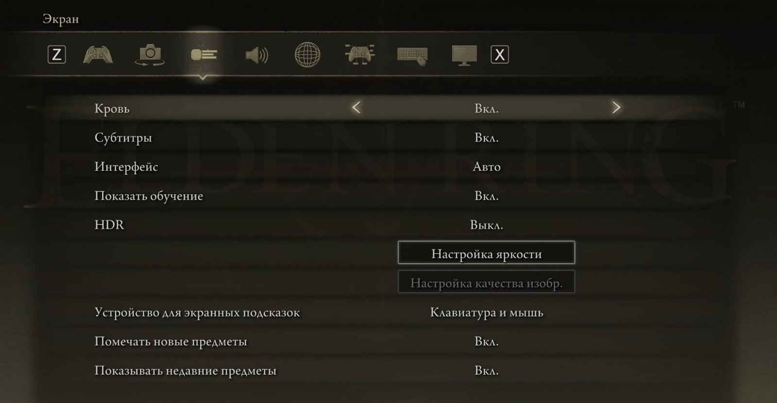Полезные функции в настройках в Shadow of the Erdtree