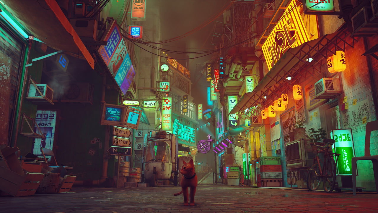 Stray выйдет на Nintendo Switch уже в ноябре — Kupikod Media
