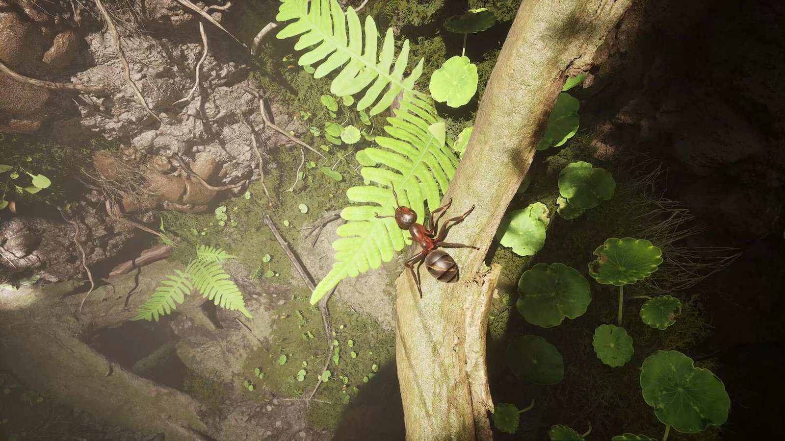 Авторы Empire of the Ants показали дорожную карту на 2025 год — Kupikod Media