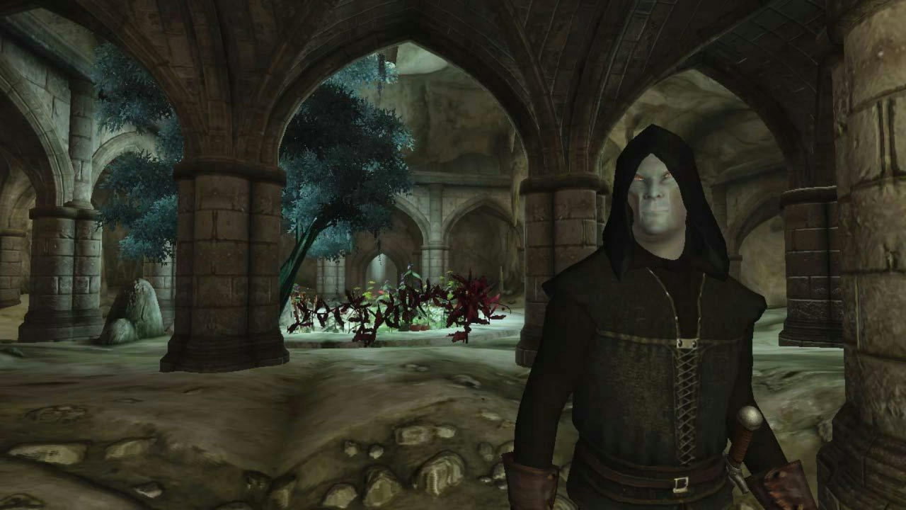Ещё один инсайдер ожидает анонс переиздания The Elder Scrolls IV: Oblivion в январе