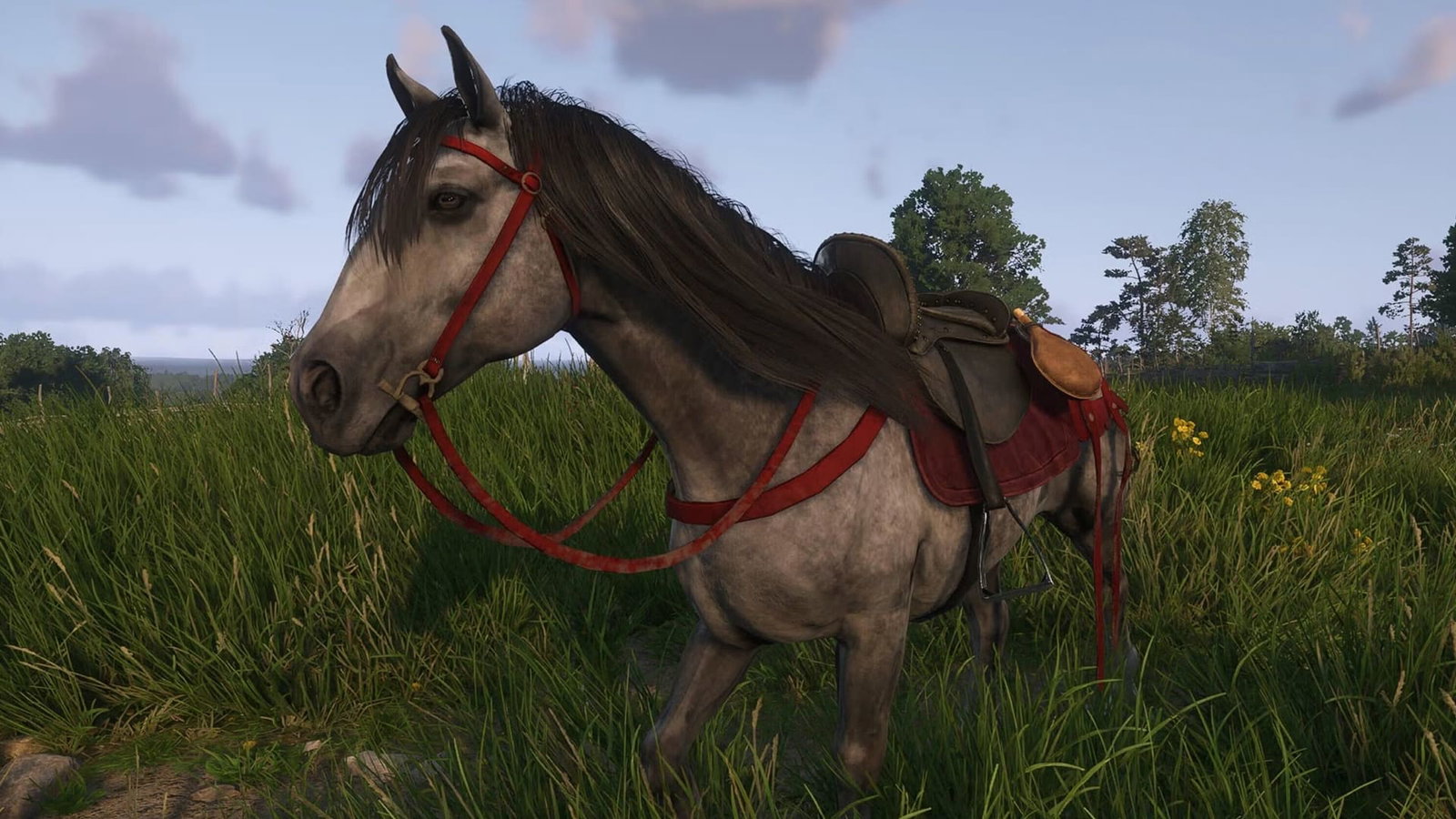 Где и как найти лошадь в Kingdom Come: Deliverance 2